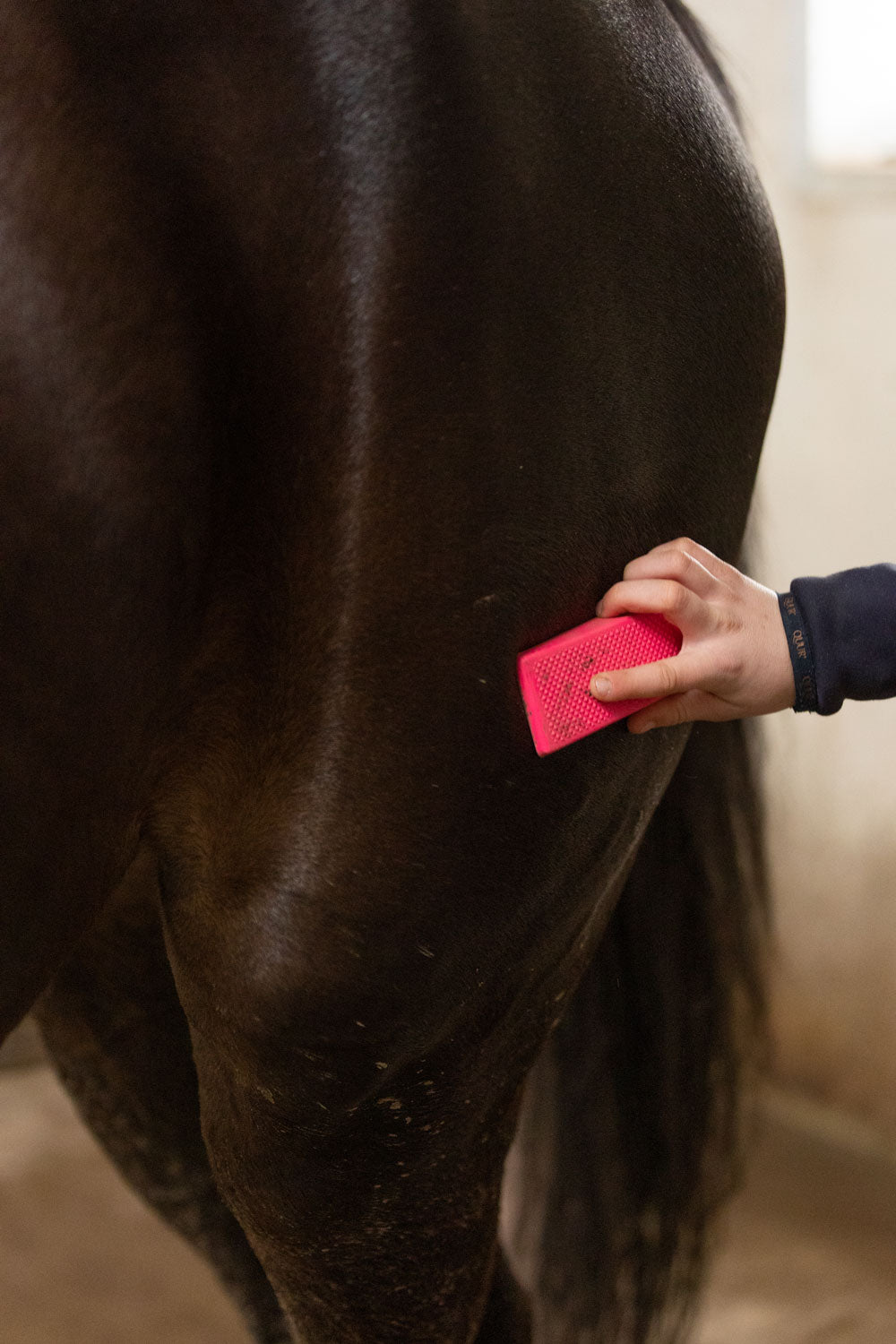 Paardenpraat Grooming Brush Medium pink