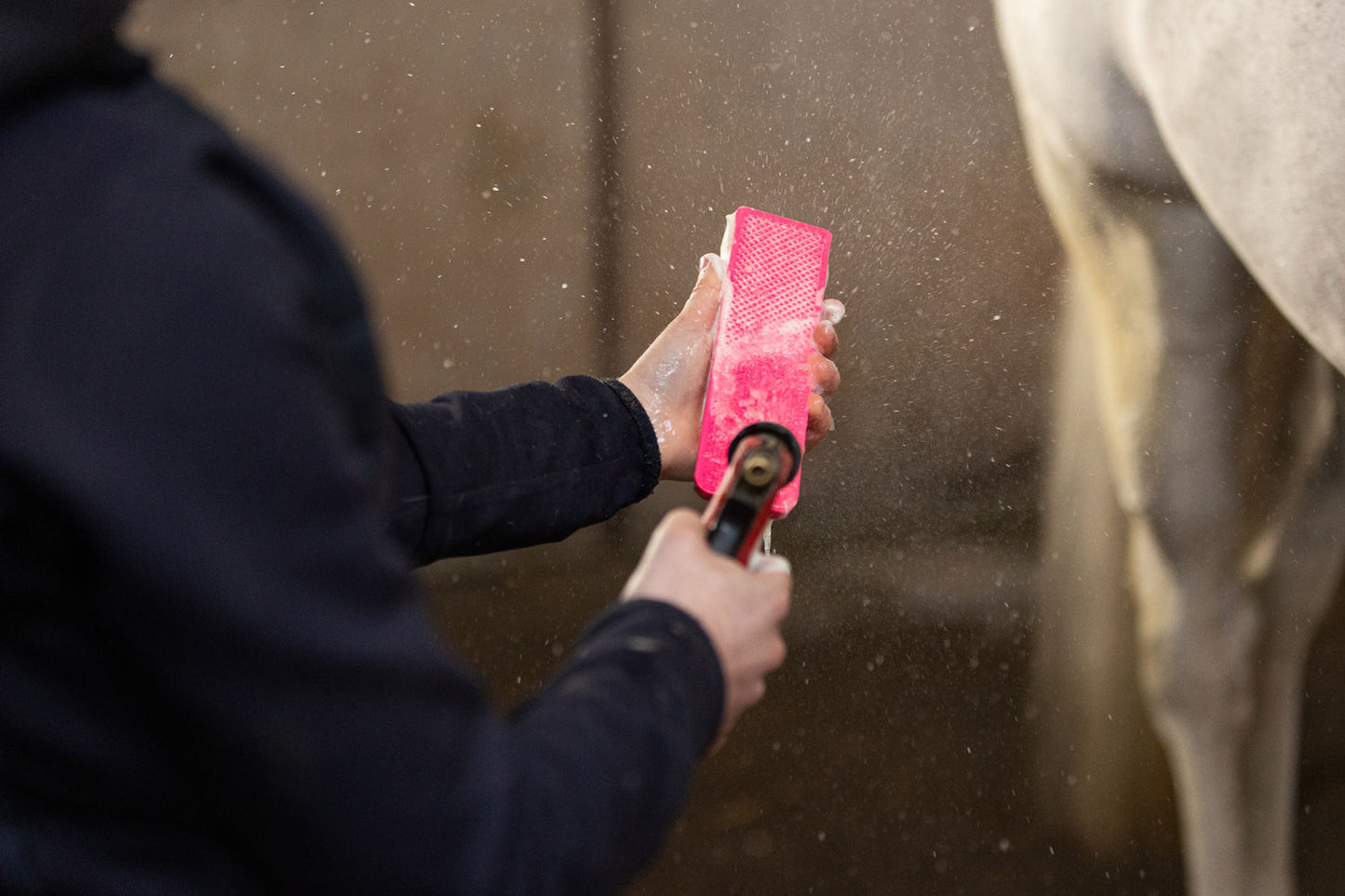 Paardenpraat Grooming Brush Medium pink