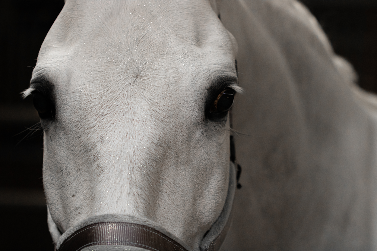 Lucky Horse Unicorn silver glitter spray