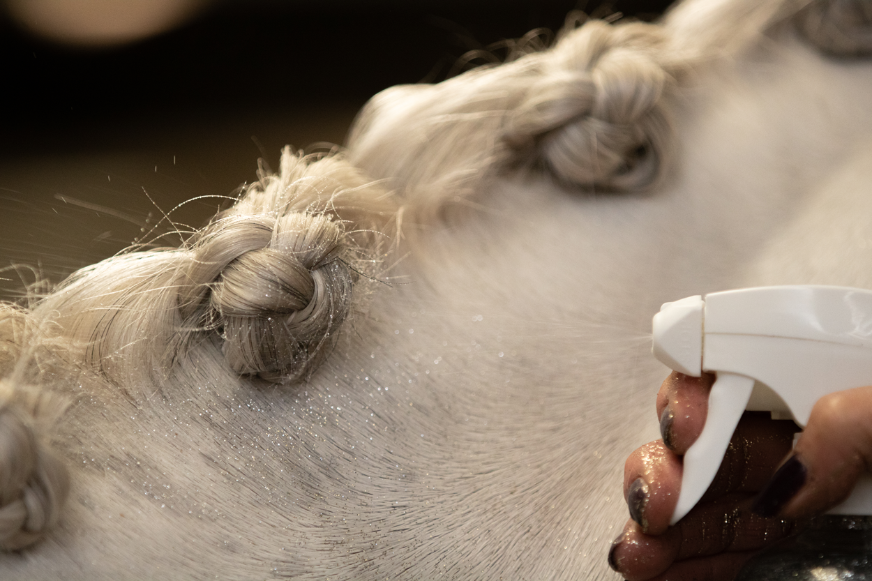 Lucky Horse Unicorn silver glitter spray