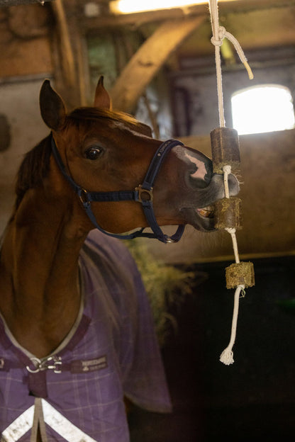 Lax Lucerne on rope for horses