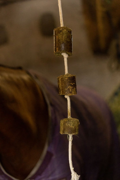 Lax Lucerne on rope for horses