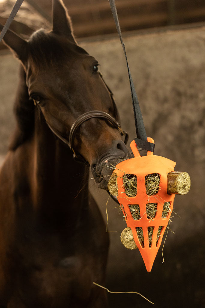 Lax Lucerne/Hay nibbling block for horses