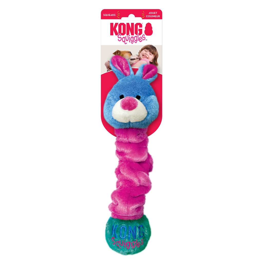 Kong Squiggles Assorted Lg EU