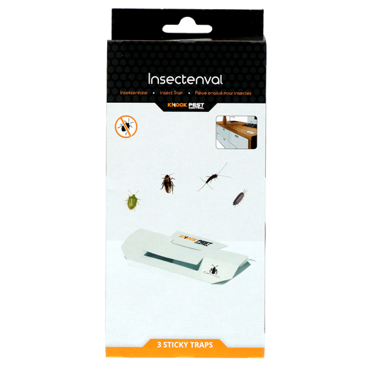 Knock Pest Insect Trap Large