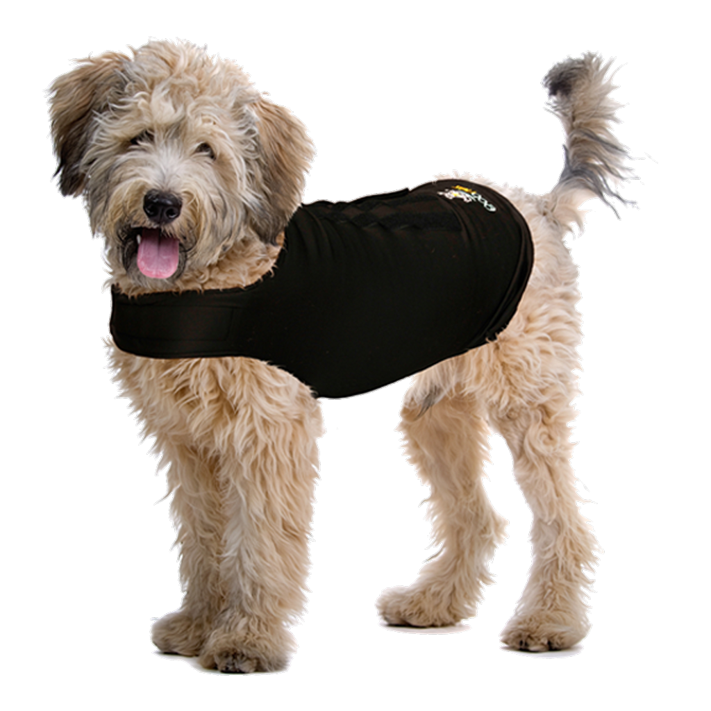 ZenDog Compression Shirt X Small