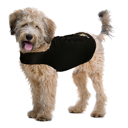 ZenDog Compression Shirt X Small