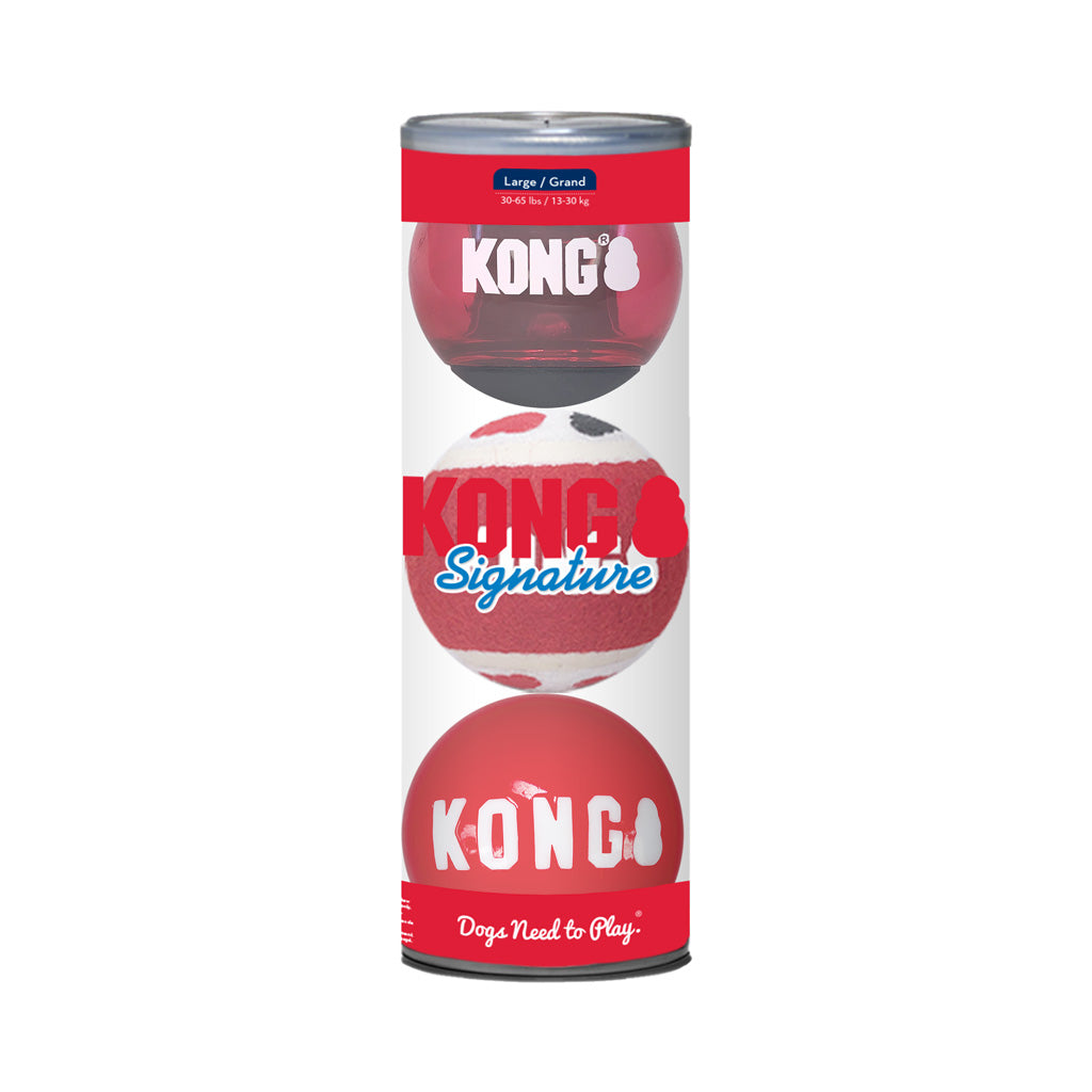 KONG Signature Balls 3-pk Assorted Lg