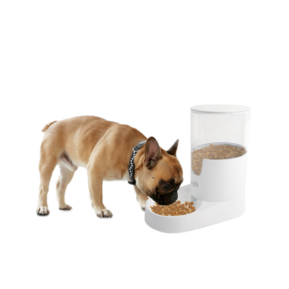 AFP Lifestlye 4 Pets - Gravity Pet Food Feeder