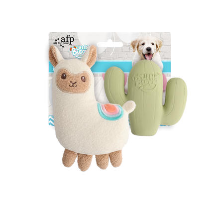 AFP Little Buddy Fiesta 2 pack Toy