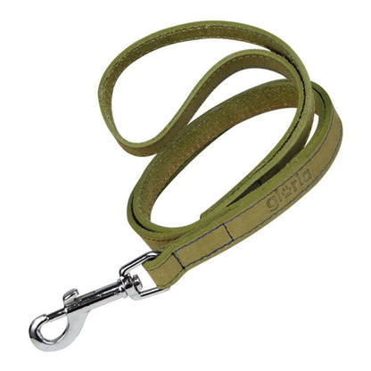 Dog Lead Gloria Oasis 2.1 x 100 cm Green