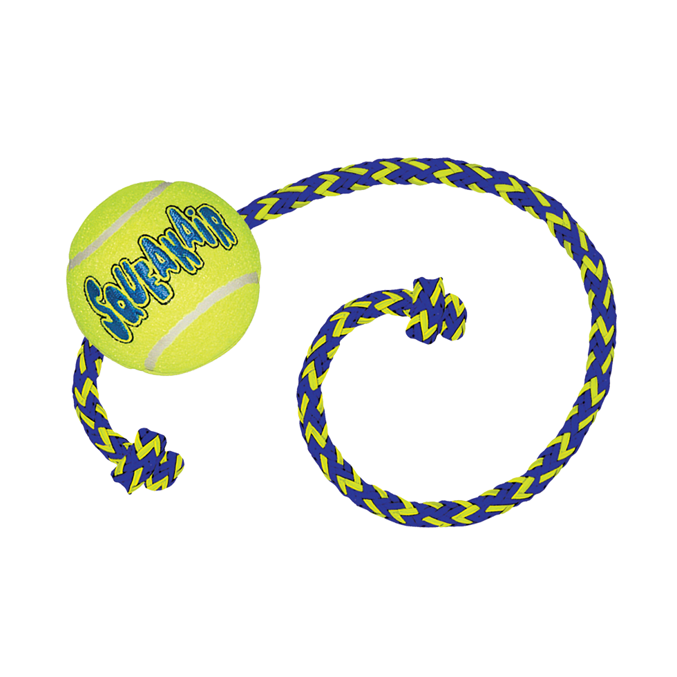 KONG Air Squeaker Tennis Ball  M 6 cm with rope 52 cm