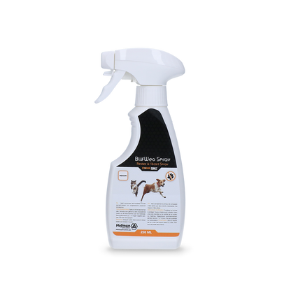 Knock Pest Stay Away Spray Indoor