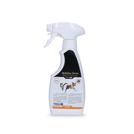 Knock Pest Stay Away Spray Indoor