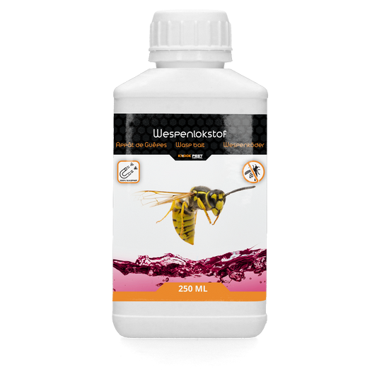 Knock Pest Wasp Bait