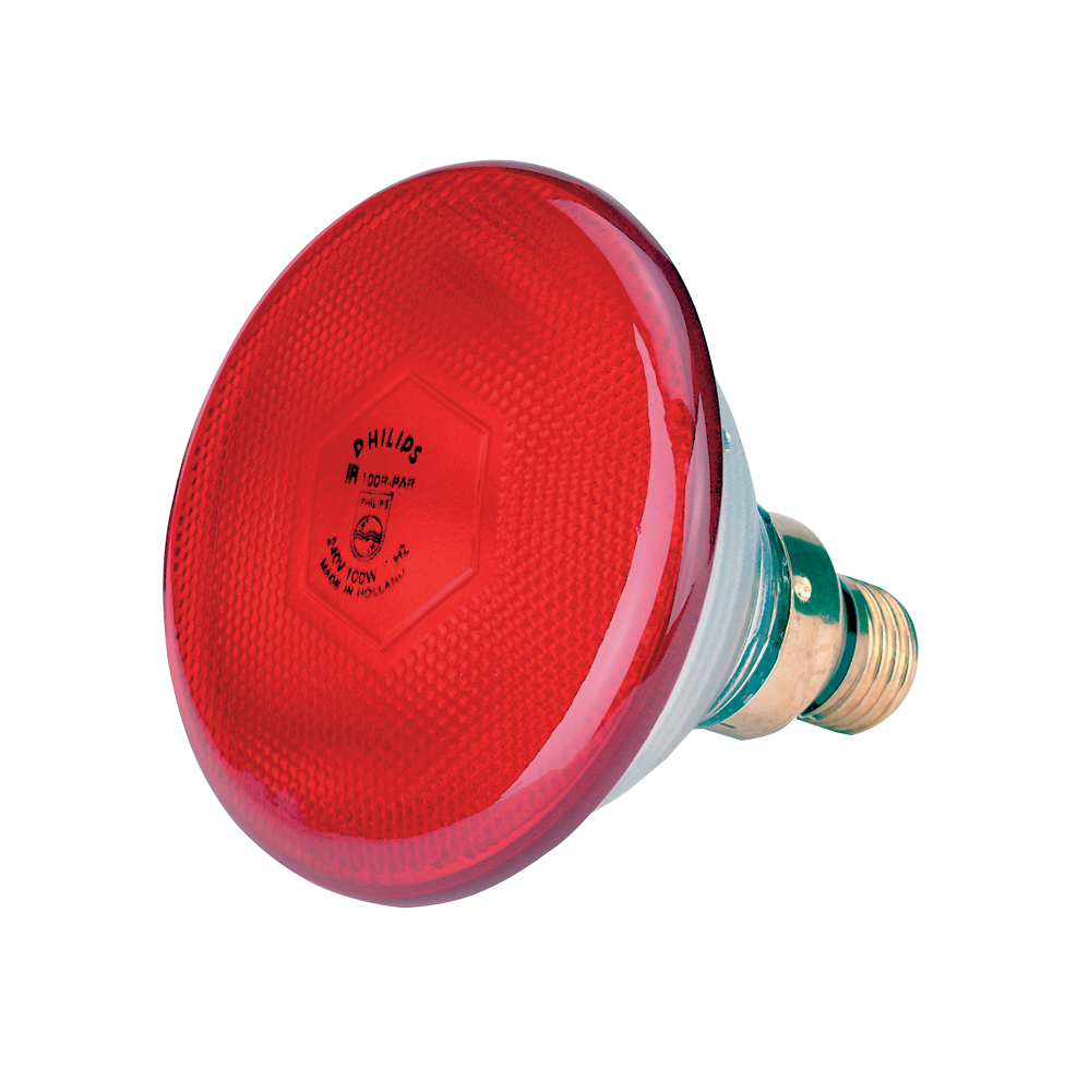 Infrared energy saving lamp 100 W red Philips