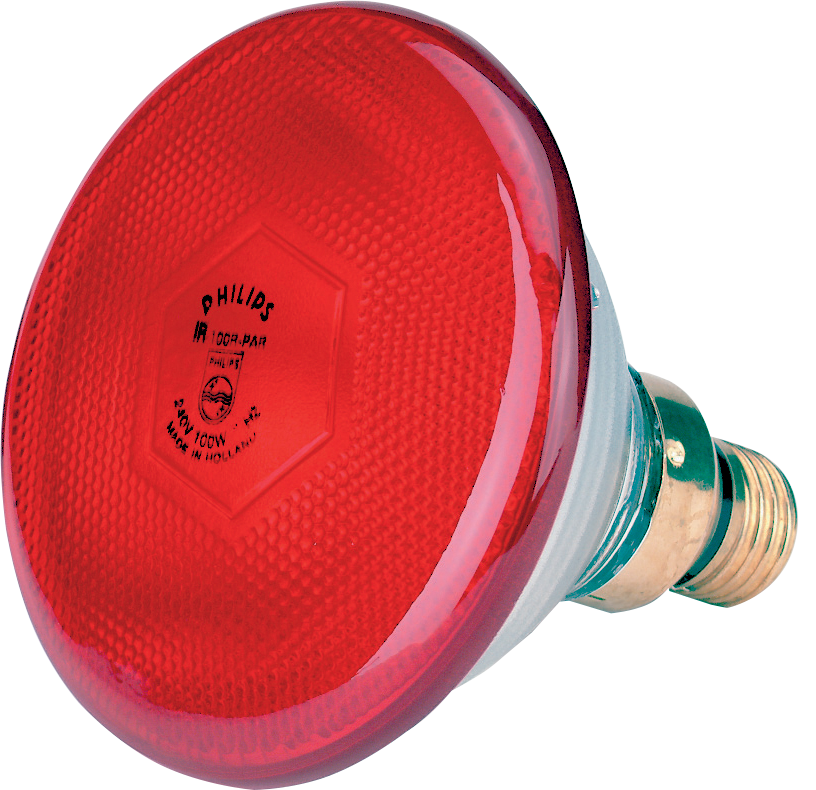 Infrared energy saving lamp 170 W red Philips