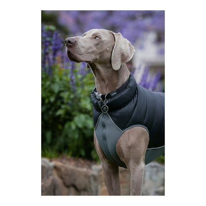 Dog Coat TicWatch Puffer Black/Grey 30 cm