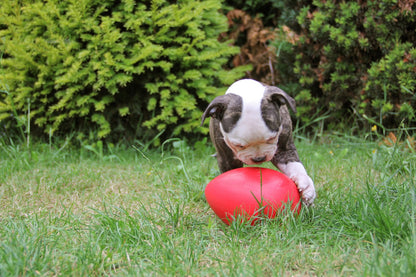 Jolly Egg 30 cm Red