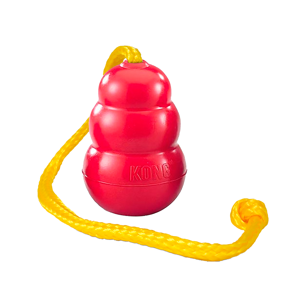 KONG Classic with Rope X-Large